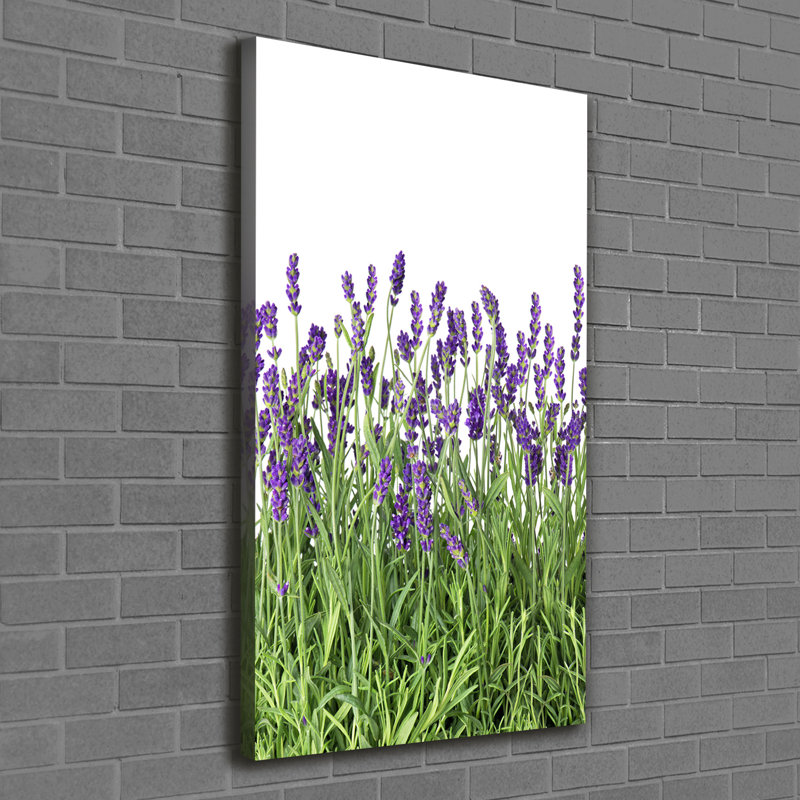 Lavender Field - Wrapped Canvas Print