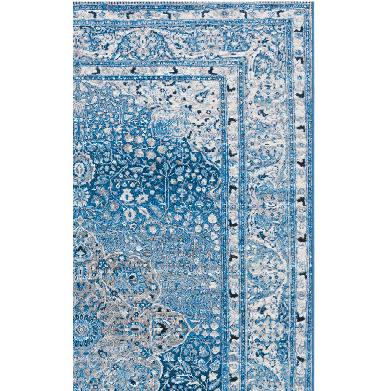 Mariaclara 500 Performance Oriental Indoor/Outdoor Area Rug, Runner 2'8" x 8'