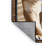 Washable Rocky Mountain Cougar Big Cats Area Rug-1527489601