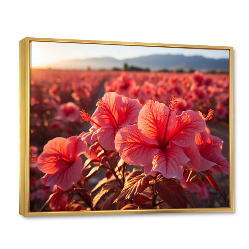 Hibiscus Field Vue aérienne, impression sur toile, H 16 po x l 32 po x P 1 po, Cadre flottant doré