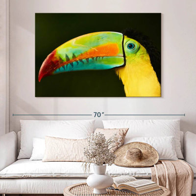 Brampt Toucan's Long Beak