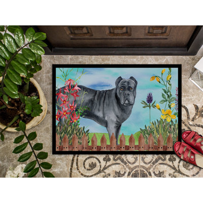 Non-Slip Outdoor Doormat