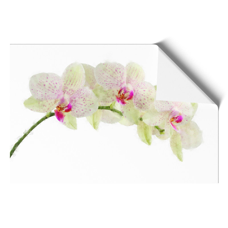 Orchid Flowers Vol.1 - No Frame Print, 21cm H x 30cm W x 0.1cm D