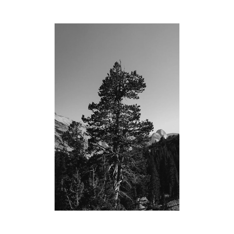 Olmsted Point, Yosemite National Park VI 1 Piece Wall Art on Canvas, 30.48cm H x 20.32cm W x 1.91cm D, Wrapped Canvas
