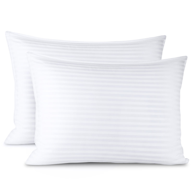 College Dorm Bundles Comforter Set
