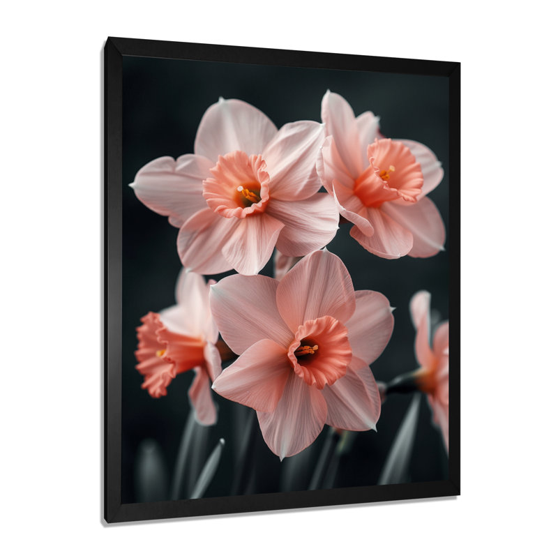 Pink Black Ethereal Emblem Daffodils - Daffodils Wall Art Print, 24" H x 32" W, Black Single Picture Framed