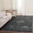 Overholt Performance Oriental Rug-19818925
