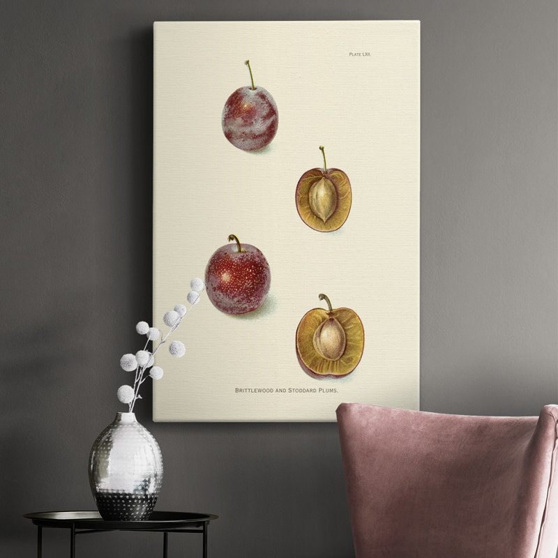 Prune II - impression sur toile tendue, H 18 po x l 12 po x P 1,5 po