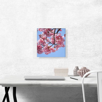 " Cherry Blossom Branch Square "