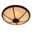 4 - Light Semi Flush Mount