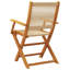 Meyzieu Patio Dining Accent Chair-861011852