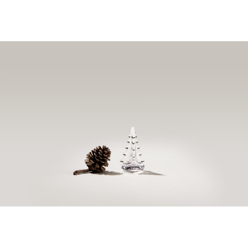 Vermont Evergreen, 4 inch