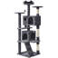 Cat Tree-101437450-105286891