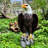 Large Standing Bald Eagle Garden Statue