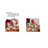 Winter''s Medley 16Pc Dinnerware Set