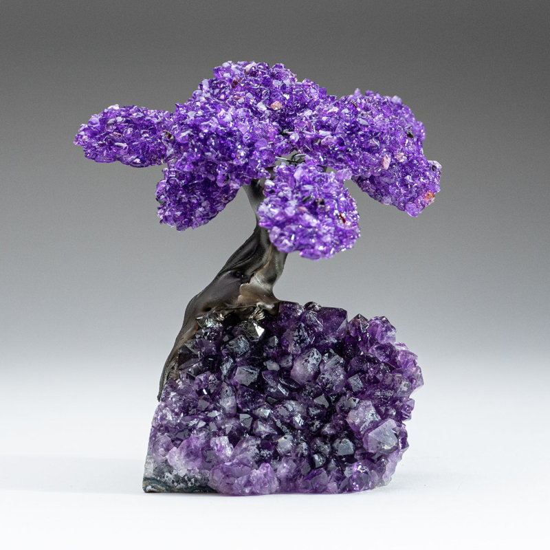 Medium Amethyst Clustered Gemstone Tree on Amethyst Matrix (The Protection Tree)
