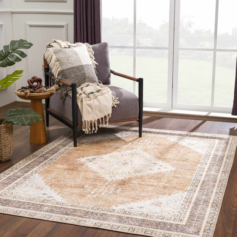 Albar Moroccan Machine Washable Brown Area Rug, Rectangle 2'7" x 4'