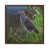 Classic Wood Framed is unavailable