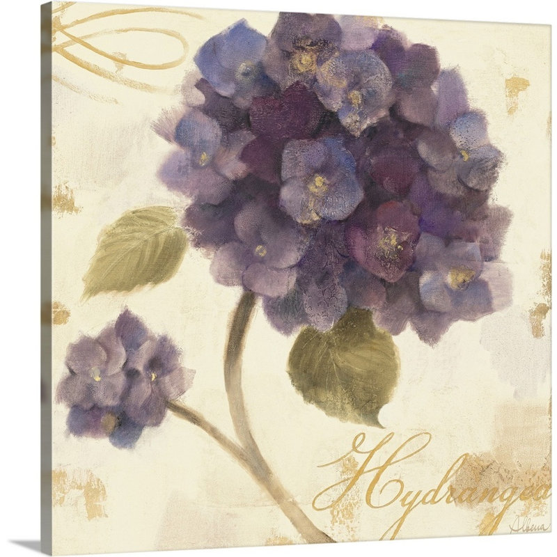 Abondant hortensia I, art mural sur toile, Toile tendue, H 30 po x l 30 po x P 1,25 po
