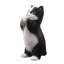 Animals Weather Resistant Polyresin Garden Statue-1662511329