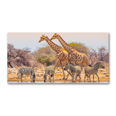 Giraffes And Zebras - Wrapped Canvas Print