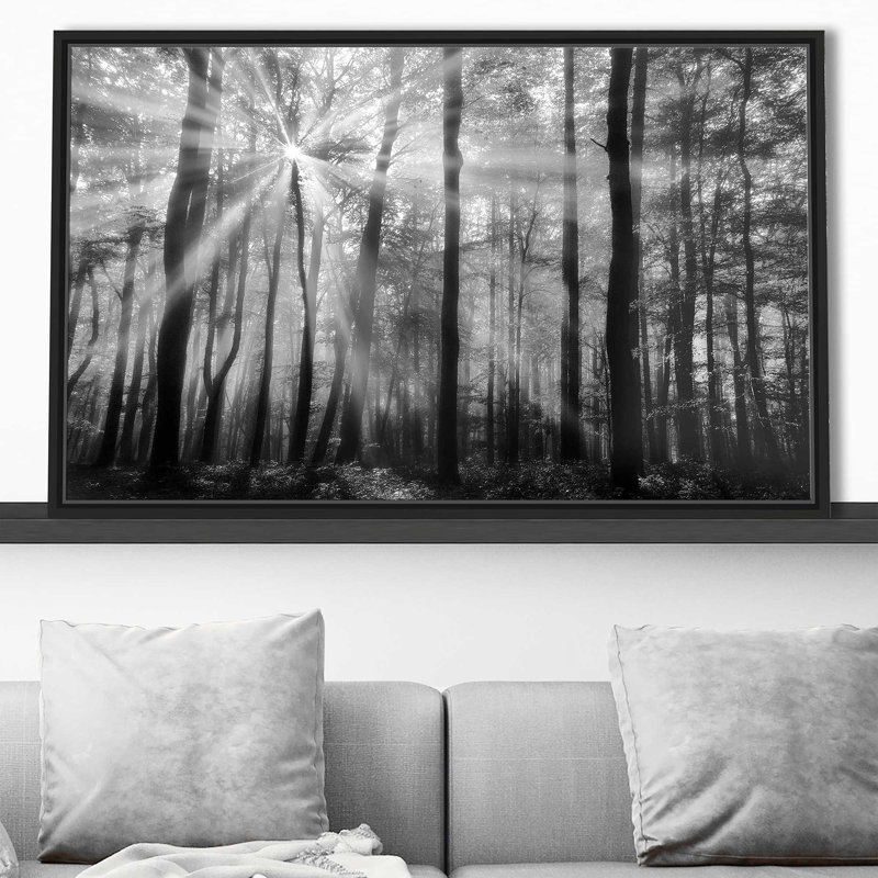 Breaking Through - photographie, H 31,5 po x l 51,5 po x P 2 po, Cadre flottant noir