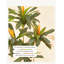 Plantes vertes artificielles de luxe et luxueuses avec des plantes en pot d'hibiscus rouges. Ornements de décoration pour plancher d'intérieur.