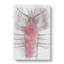 The Pink Lobster - Wrapped Canvas Drawing - Wrapped Canvas-56662829
