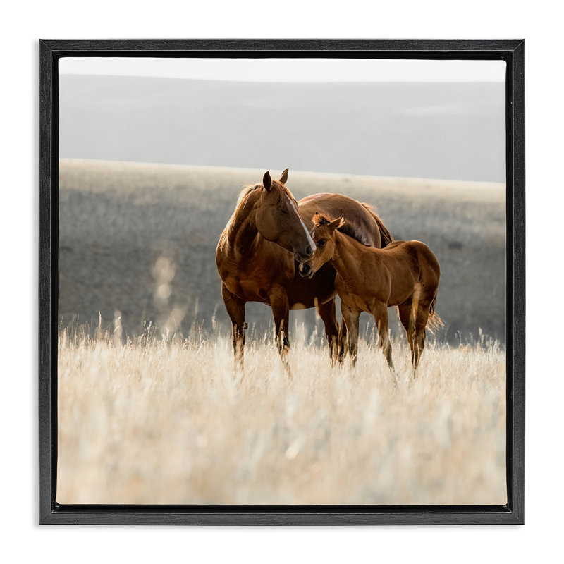 Cadre flottant paysage Montana Mares, design par Christy Berry, Cadre flottant noir de jais, H 18 po x l 18 po