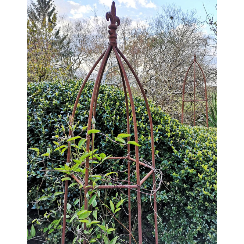 Amina Obelisk Trellis, 160cm H x 38cm W x 38cm D, Brown