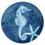Service de table 12 pièces Certified International Oceanic