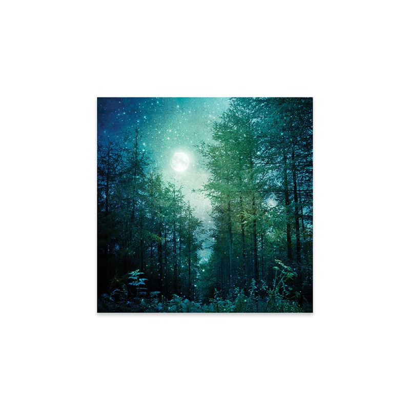 «Enchanted Forest» par Ros Berryman - impression non encadrée