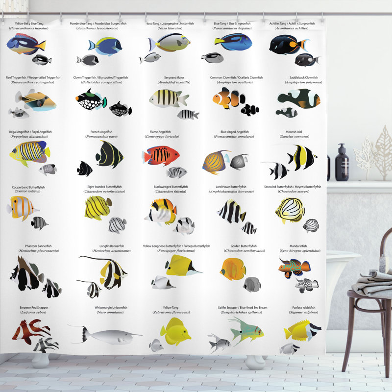 Shower Curtain with Hooks Included, 84" H x 69" W