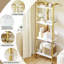 137.9cm H x 49.78cm W Metal Bookcase