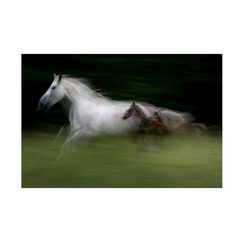Milan Malovrh In Nspeed Canvas Art, H 12 po x l 19 po