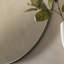 Aguon Metal Flat Wall Mirror-37294043-122429915-122429916