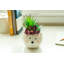 Agave de fleurs en céramique en céramique-hedgehog