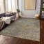 Tapis doré intérieur / extérieur lavable à la machine Chayden ACN988-109614151
