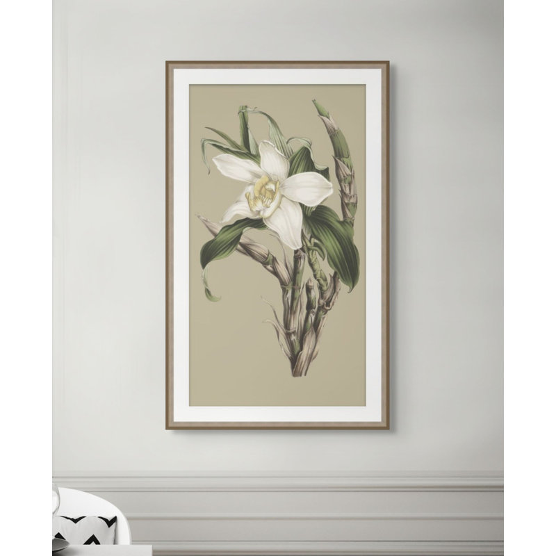 Jungle Flora 2 Print, 36.75" H x 22.75" W
