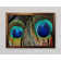 Peacock Feather Duo - Single Picture Frame Print