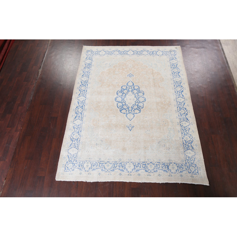 Muted Distressed  Traditional Area Rug 7x9