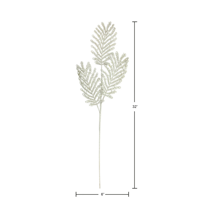 Silver Peacock Spruce