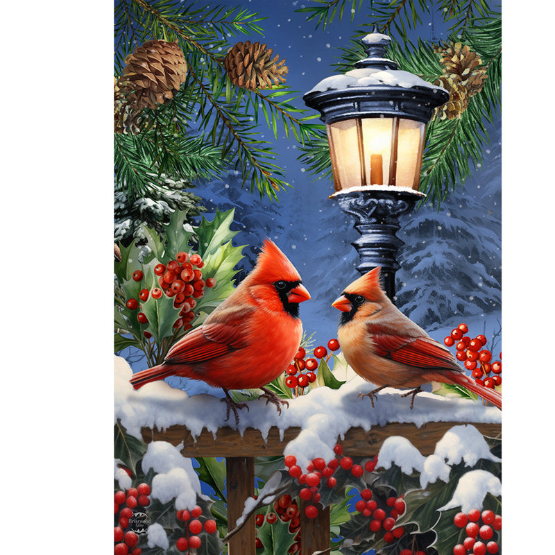 Drapeau de la maison Winter Cardinals