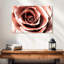 Fleur Harnek or rose-111831574
