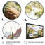 Arizona Desert Creek Scenery I - impression sur toile-86492136-86492139
