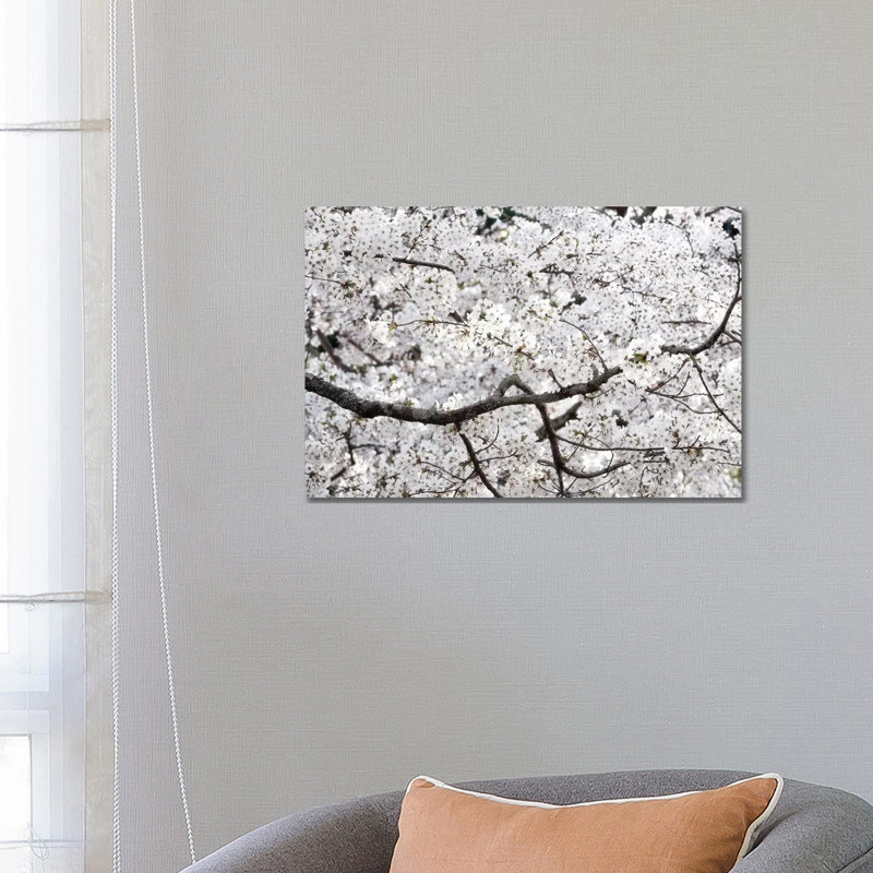 Sakura Cherry Blossom par Philippe Hugonnard - reproduction de photo sur toile tendue, H 18 po x l 26 po x P 1,5 po