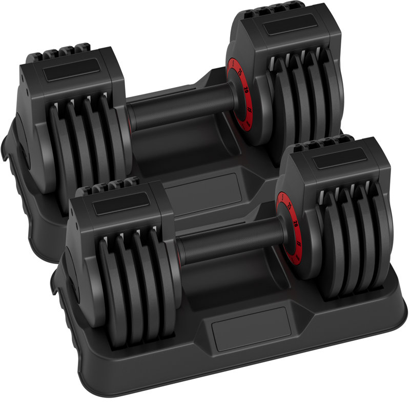 SKOK 25 lb, poids et haltères réglables, gymnase et entraînement, noir