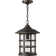Freeport 1 -Bulb 14" H Outdoor Hanging Lantern