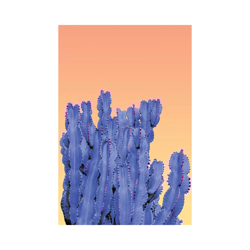 Cactus by Beli - Wrapped Canvas Print, 20.32 cm H x 30.48 cm W