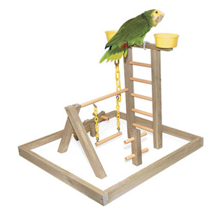 Terrain de bois acrobird